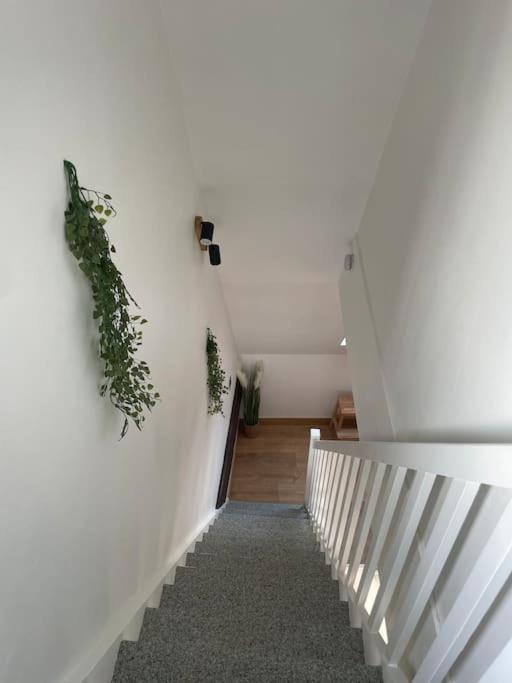沙特尔Duplex Bord De L'Eure - Parking Inclus - Jolie Vue Sur La Cathedrale公寓 外观 照片